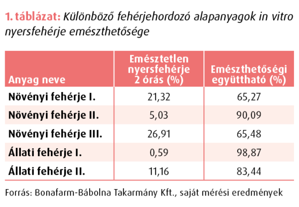 Sertsé nyersfehérje emészthetőség