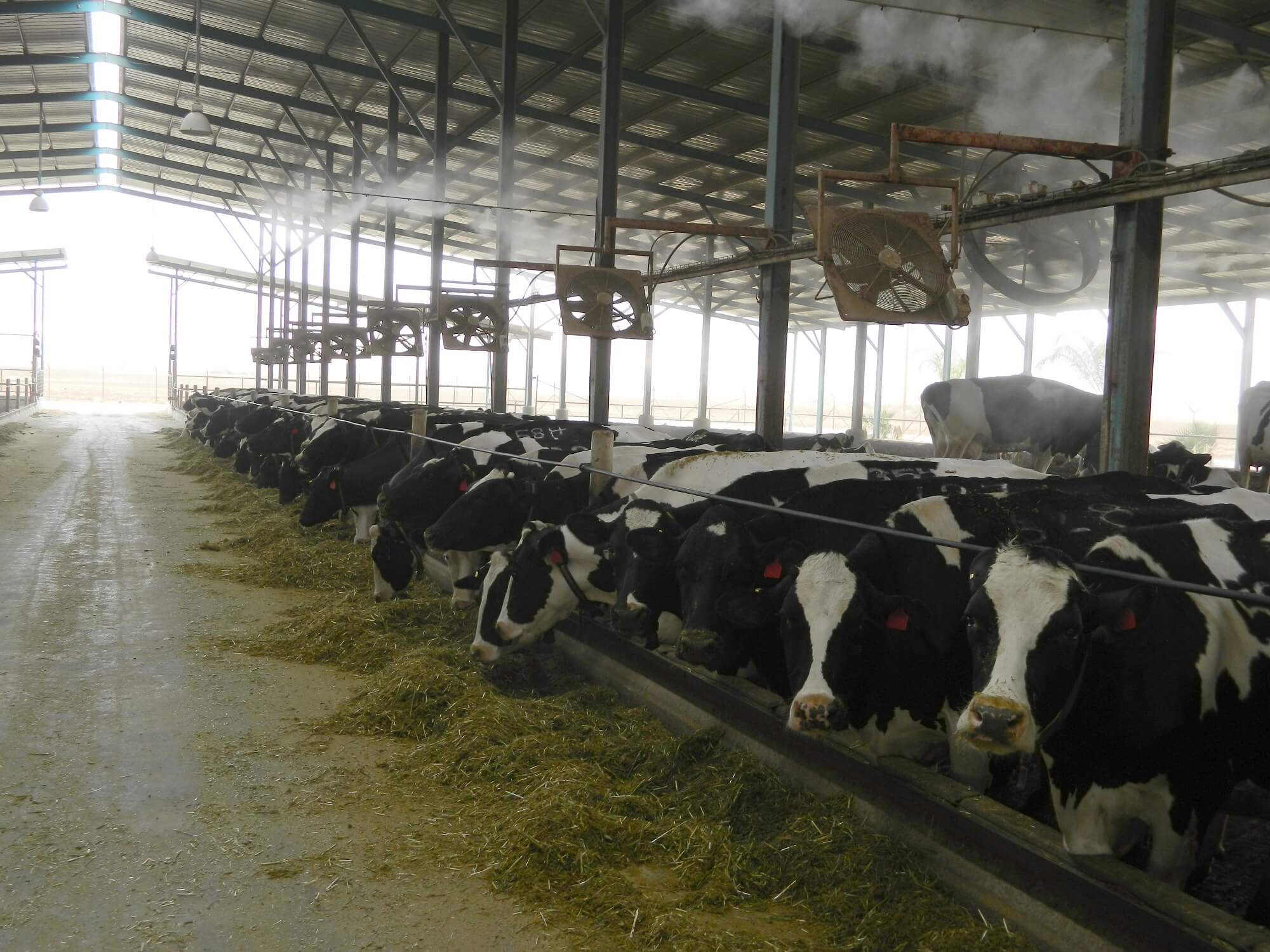 Termo-Min hőstressz