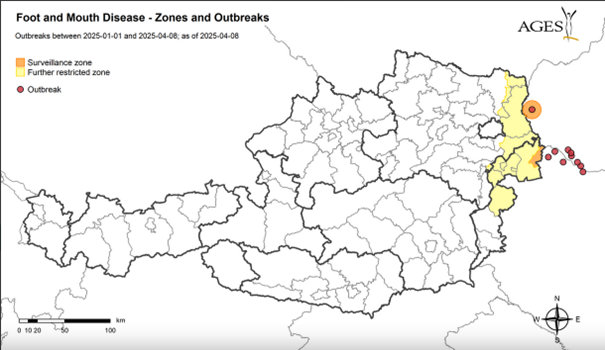 AGES szarvasmarha járvány