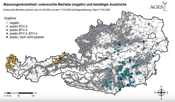 AGES szarvasmarha járvány Ausztria