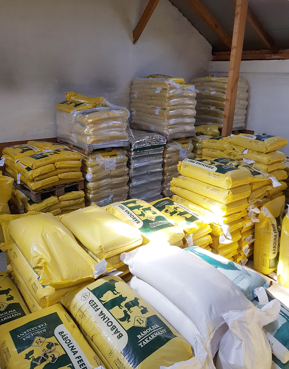 Borbély Csaba márkaképviselet