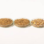 Bábolna Takarmány laborvizsgálat