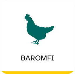 baromfi_hatterrel_sarga