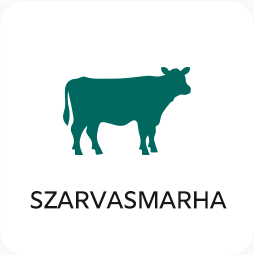szarvasmarha_hatterrel