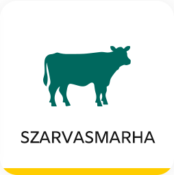 szarvasmarha_hatterrel_sarga